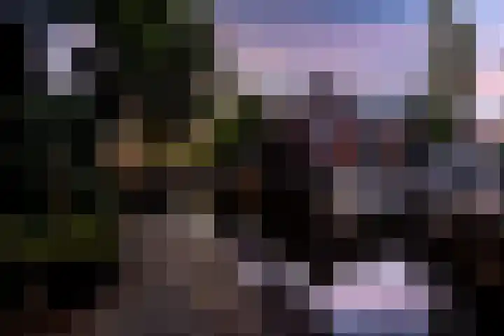 Hoge Gouwe 137 Gouda thumbnail 49