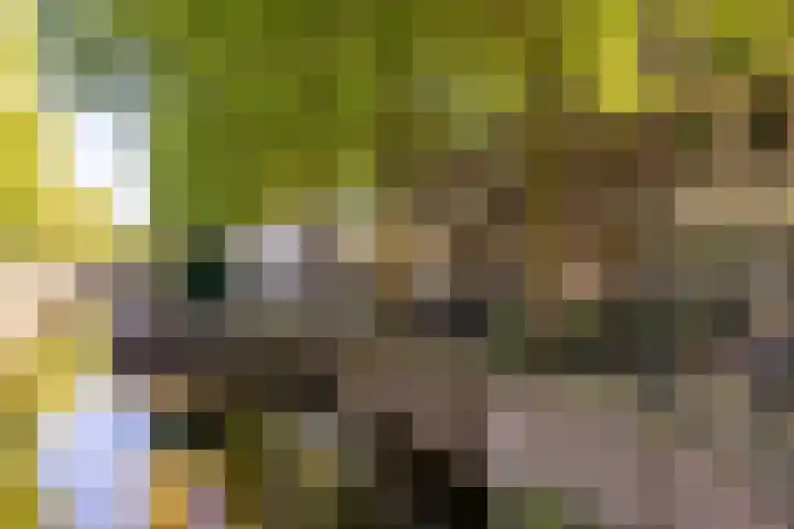 Hoge Gouwe 137 Gouda thumbnail 6