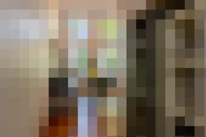 Hoge Gouwe 137 Gouda thumbnail 8