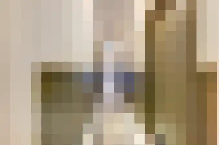 Hoge Gouwe 39 g Gouda thumbnail 12