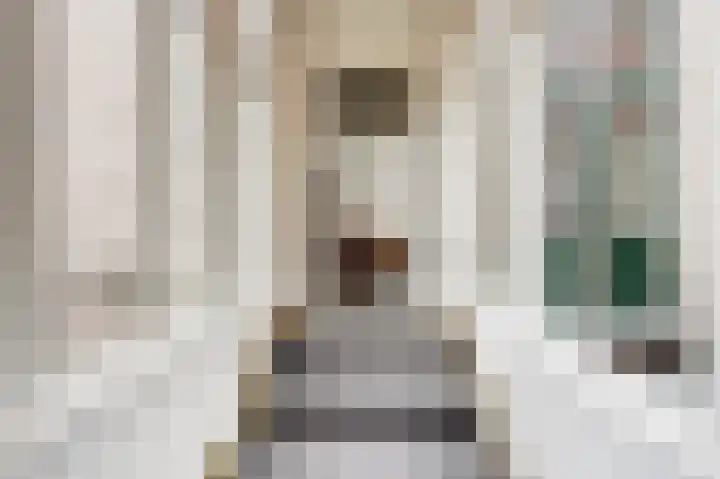 Hoge Gouwe 39 g Gouda thumbnail 19