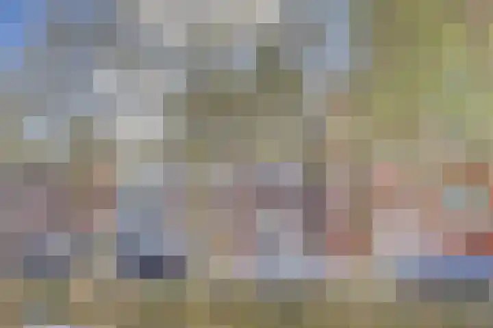 Hoge Gouwe 39 g Gouda thumbnail 21