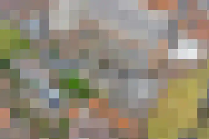 Hoge Gouwe 39 g Gouda thumbnail 24