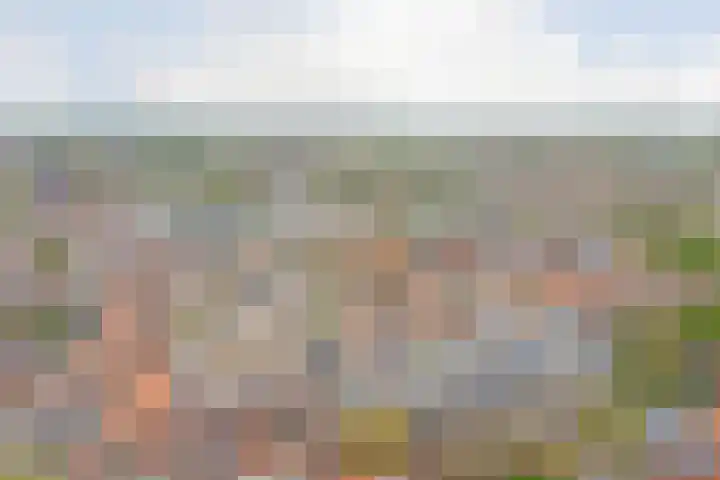 Hoge Gouwe 39 g Gouda thumbnail 28