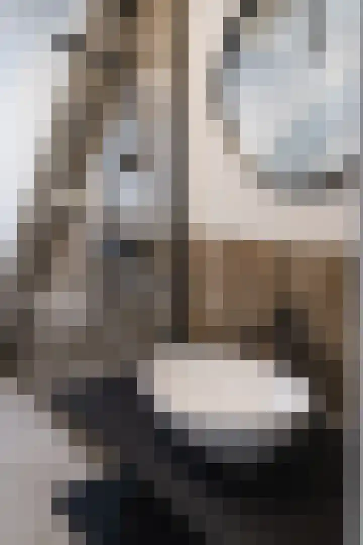 Hoge Gouwe 39 g Gouda thumbnail 7