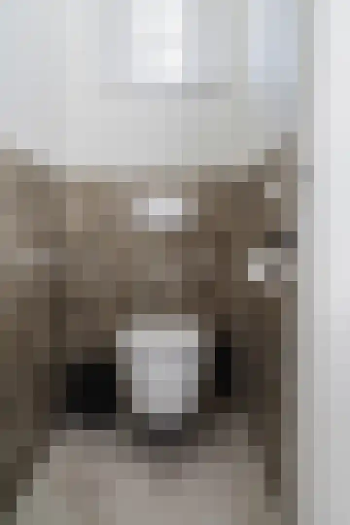 Hoge Gouwe 39 g Gouda thumbnail 9