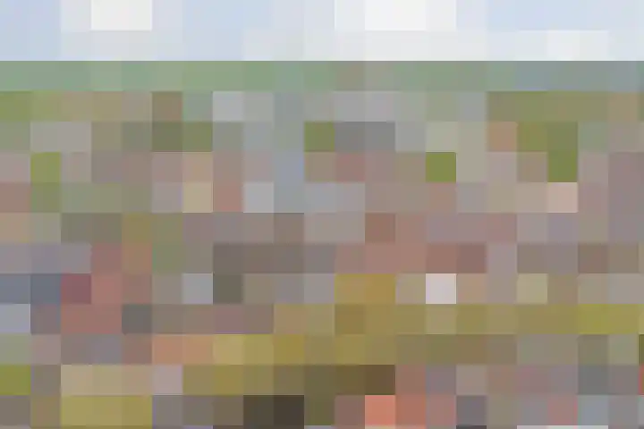Hoge Gouwe 39 h Gouda thumbnail 25