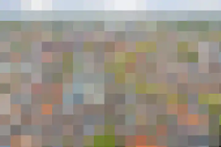 Hoge Gouwe 39 h Gouda thumbnail 26