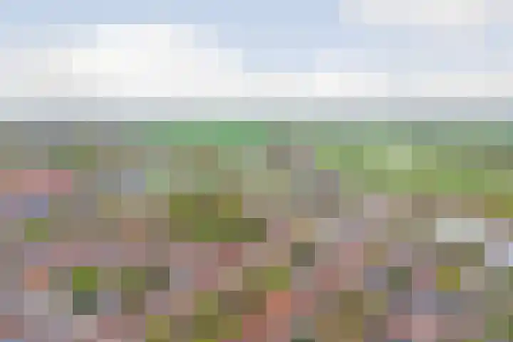 Hoge Gouwe 39 h Gouda thumbnail 27