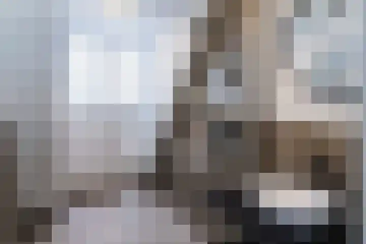 Hoge Gouwe 39 h Gouda thumbnail 9