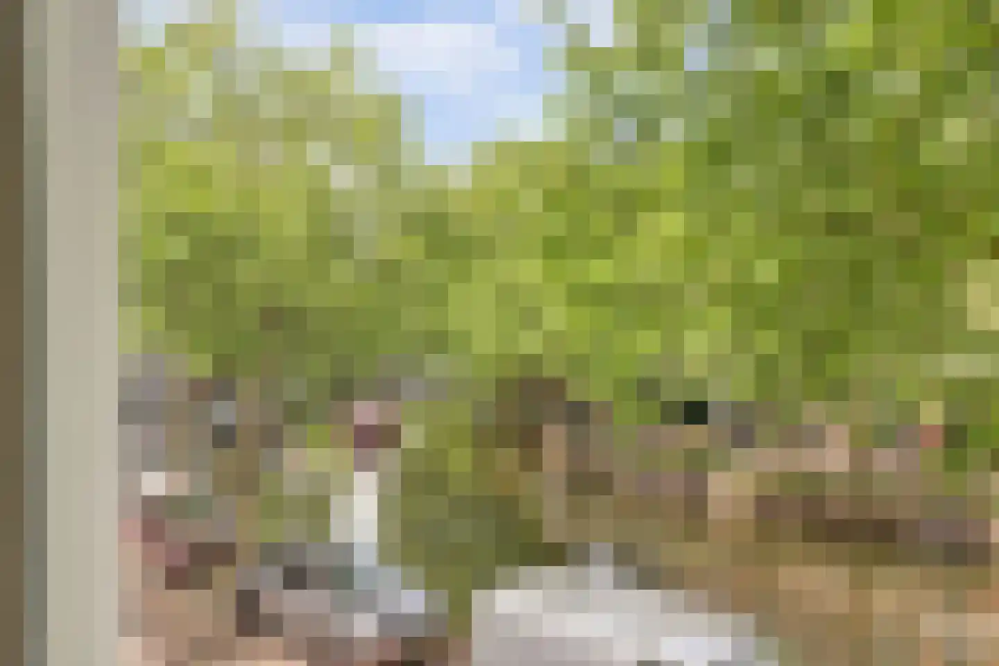 Hoge Gouwe 45 Gouda thumbnail 16