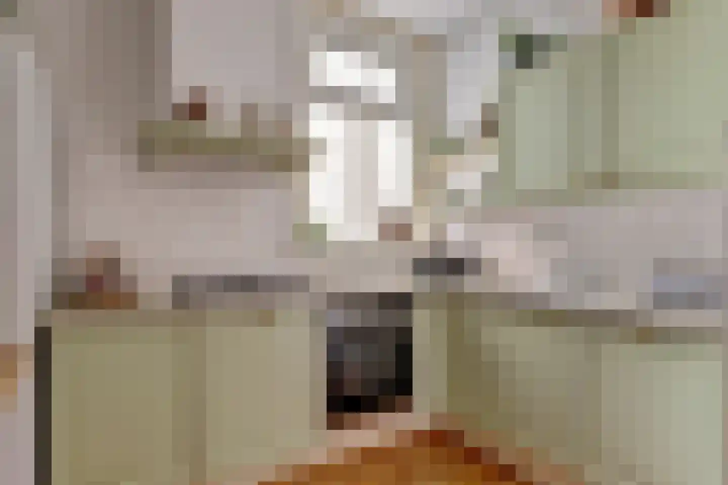 Hoge Gouwe 45 Gouda thumbnail 21