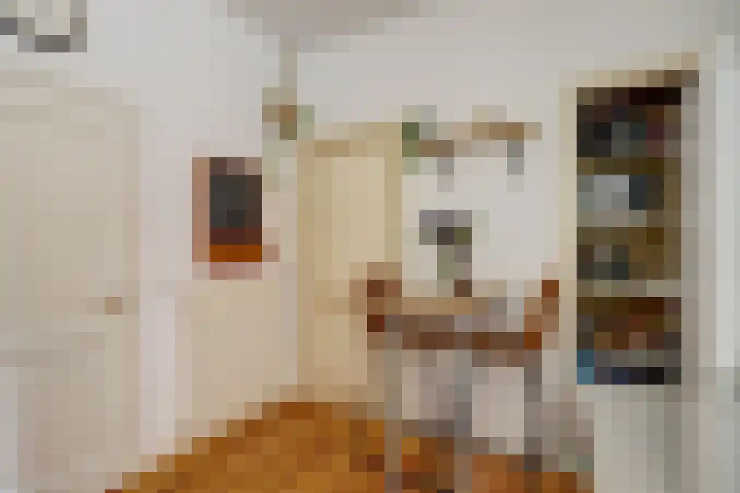 Hoge Gouwe 45 Gouda thumbnail 23