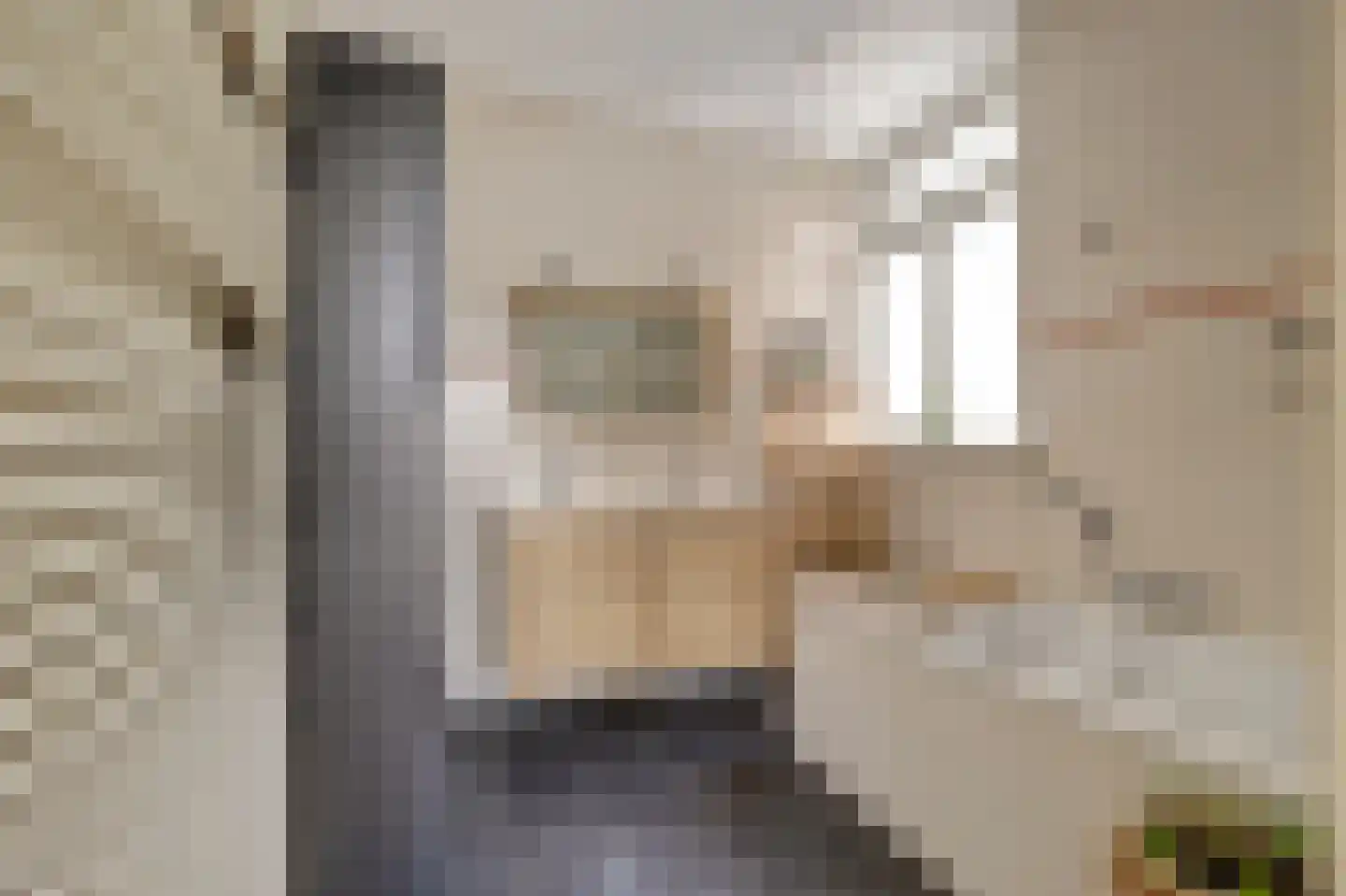 Hoge Gouwe 45 Gouda thumbnail 32