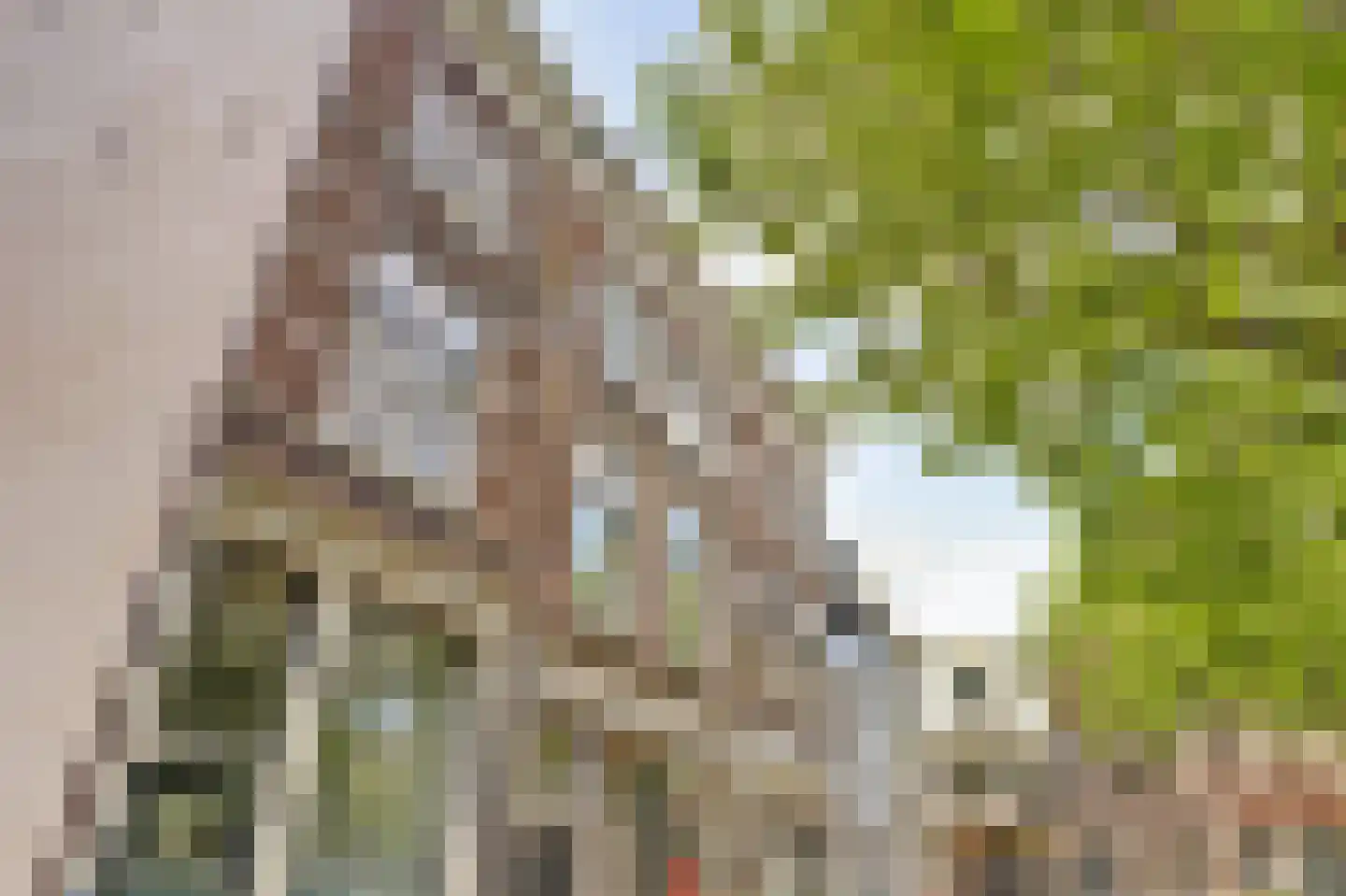 Hoge Gouwe 45 Gouda thumbnail 48