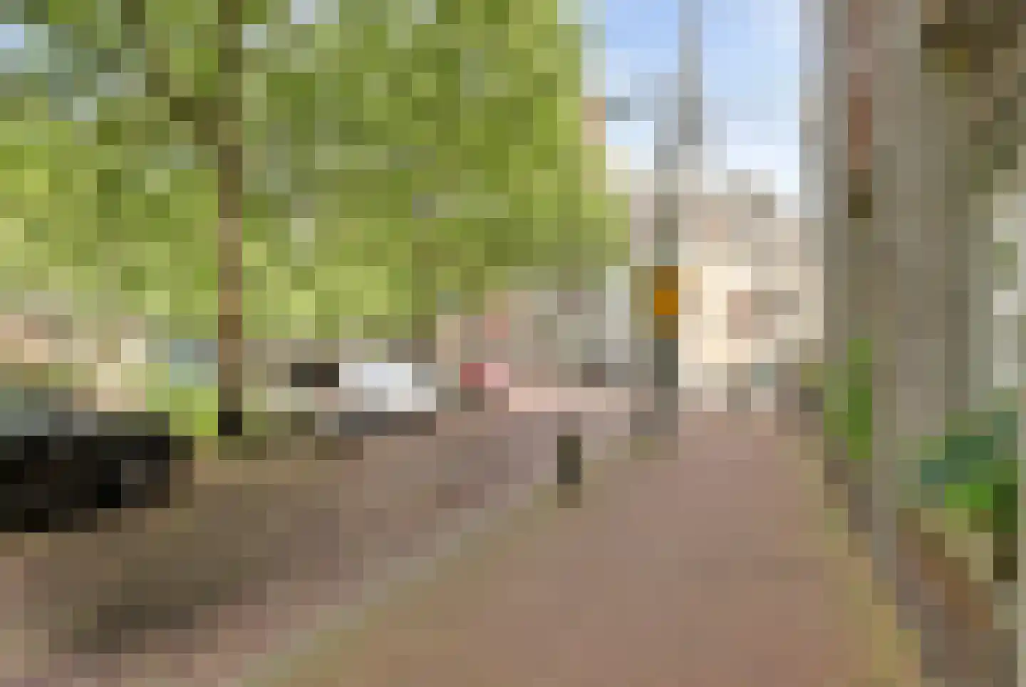 Hoge Gouwe 45 Gouda thumbnail 52
