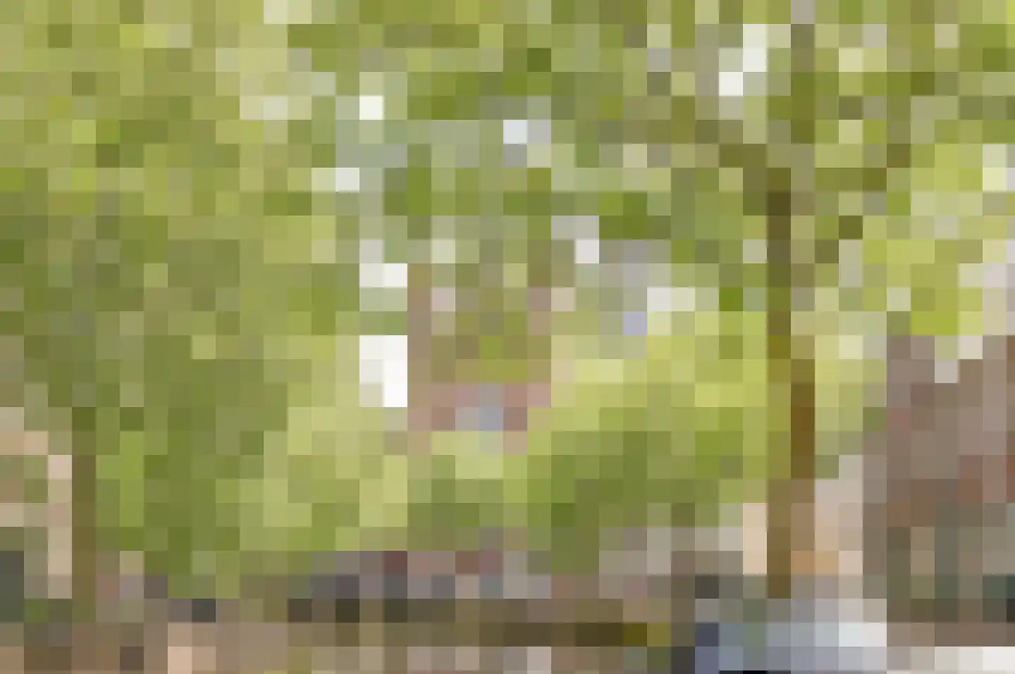 Hoge Gouwe 45 Gouda thumbnail 53