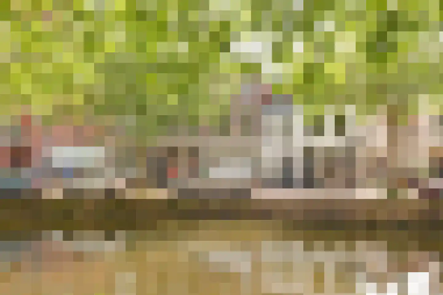 Hoge Gouwe 45 Gouda thumbnail 7