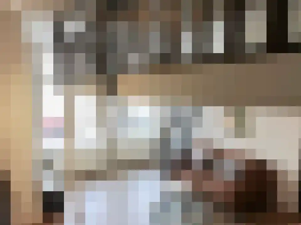 Hoge Gouwe 65 Gouda thumbnail 5