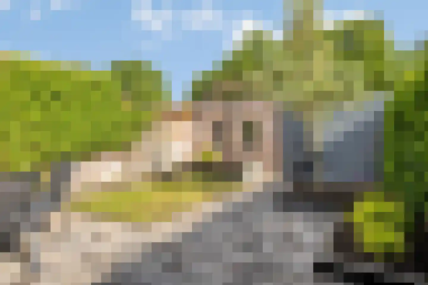 Hoge Graaf 32 Ravenstein thumbnail 30
