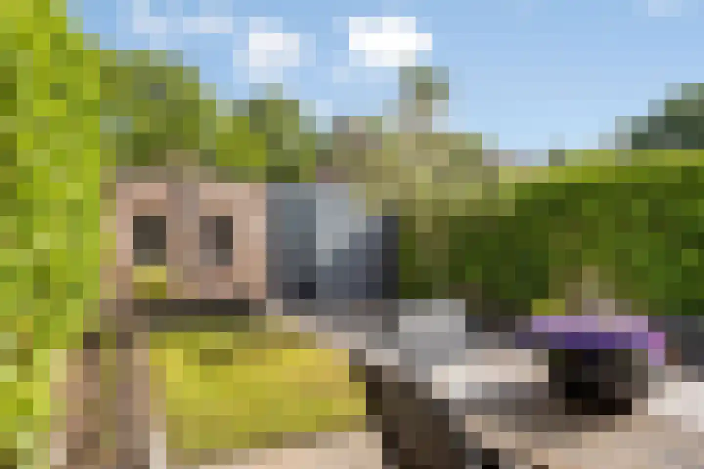 Hoge Graaf 32 Ravenstein thumbnail 31