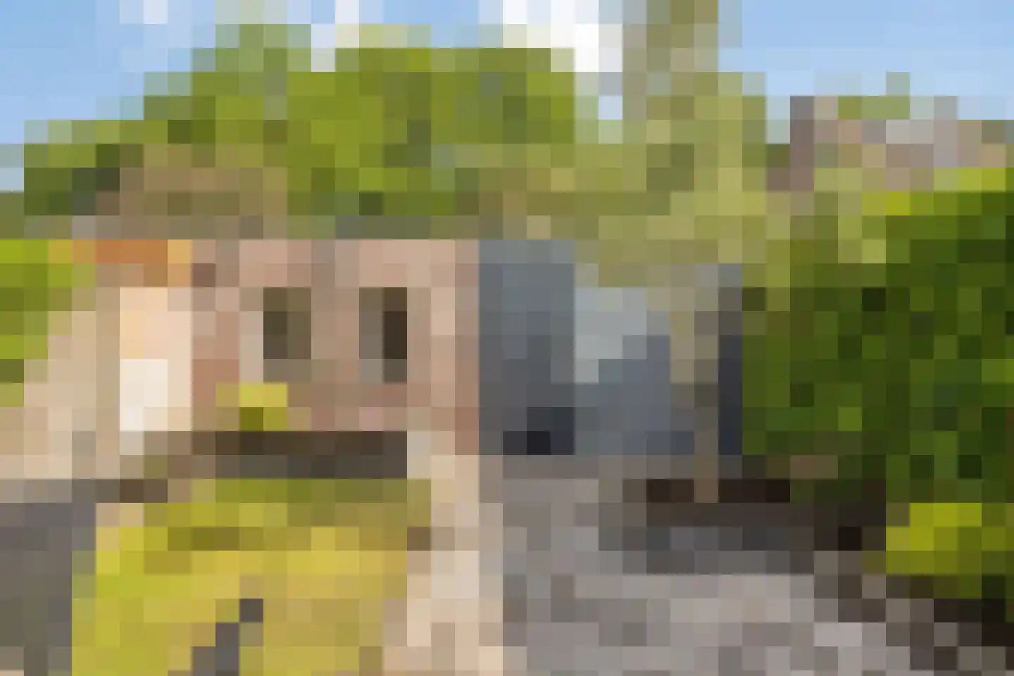 Hoge Graaf 32 Ravenstein thumbnail 32