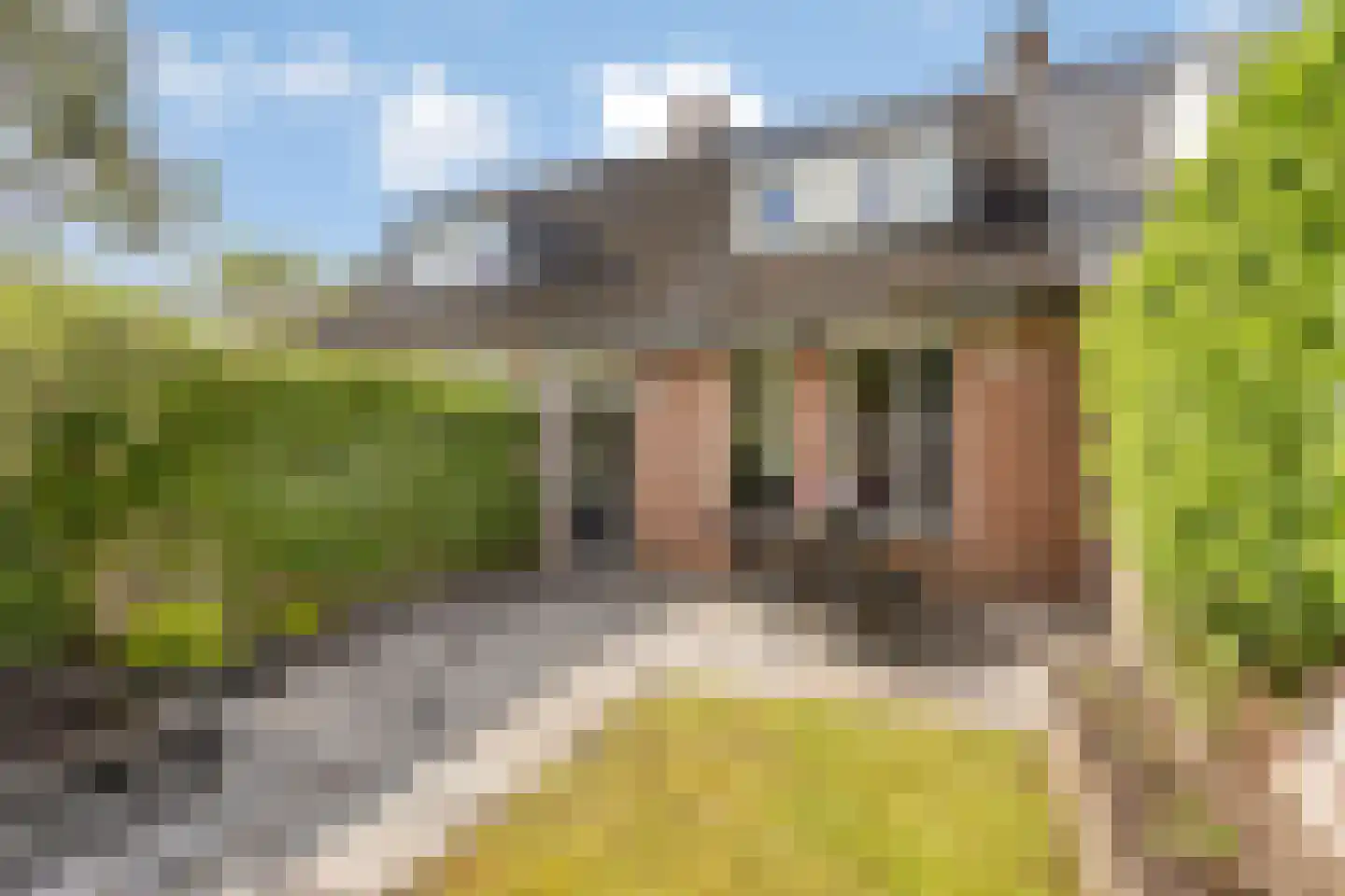 Hoge Graaf 32 Ravenstein thumbnail 33