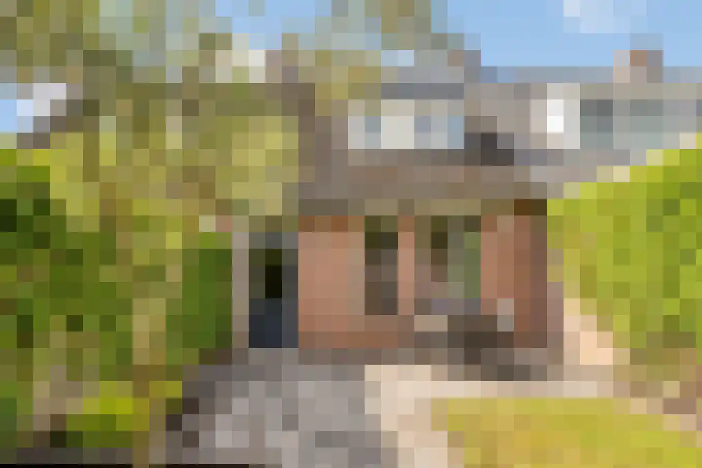 Hoge Graaf 32 Ravenstein thumbnail 34