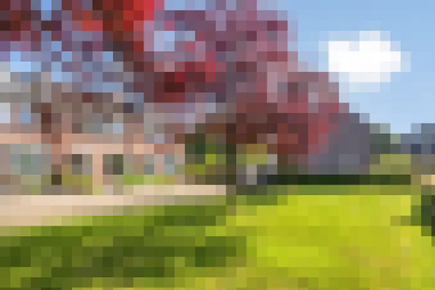 Hoge Graaf 32 Ravenstein thumbnail 37