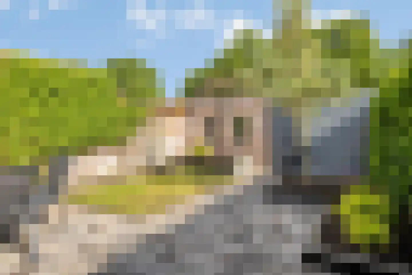 Hoge Graaf 32 Ravenstein thumbnail 4