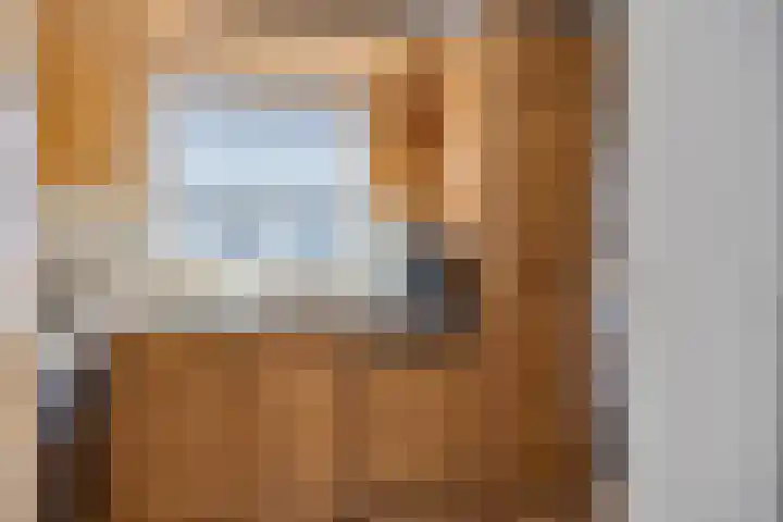 Hoge Graaf 61 Ravenstein thumbnail 11