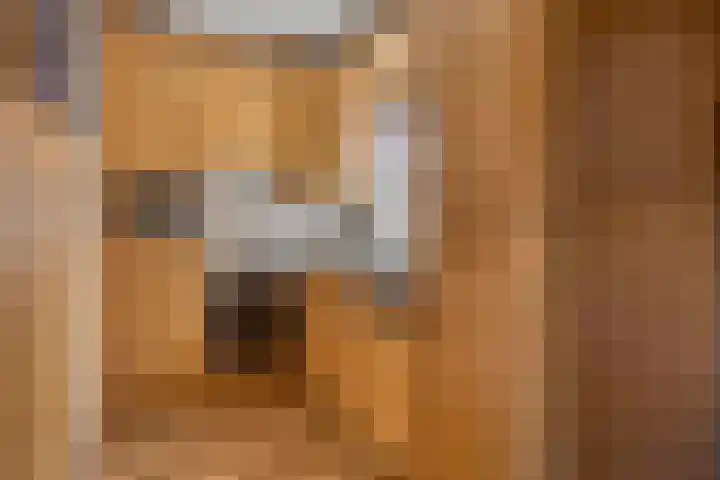 Hoge Graaf 61 Ravenstein thumbnail 12