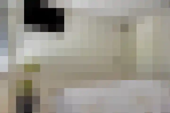 Hoge Graaf 61 Ravenstein thumbnail 17