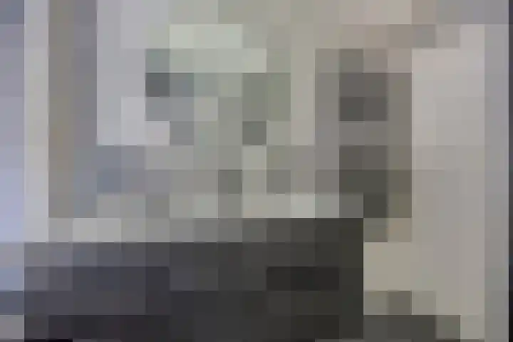 Hoge Graaf 61 Ravenstein thumbnail 23