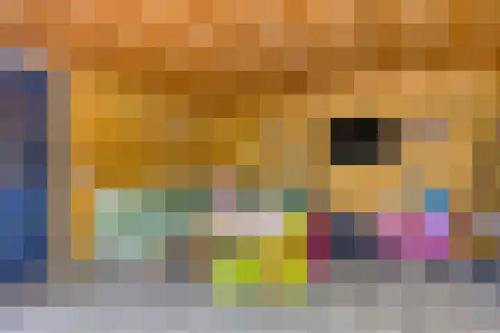 Hoge Graaf 61 Ravenstein thumbnail 32