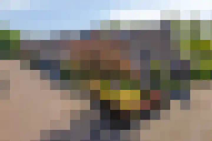 Hoge Graaf 61 Ravenstein thumbnail 34