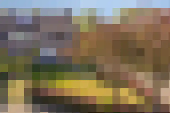 Hoge Graaf 61 Ravenstein thumbnail 35