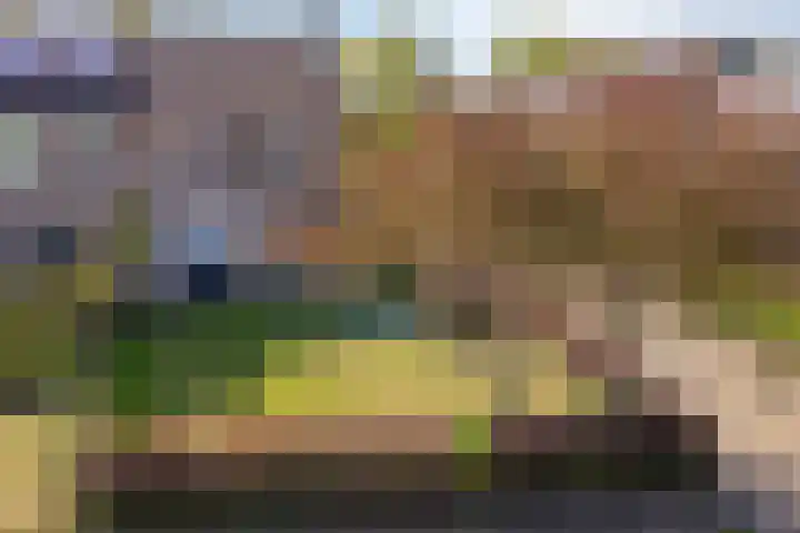 Hoge Graaf 61 Ravenstein thumbnail 36
