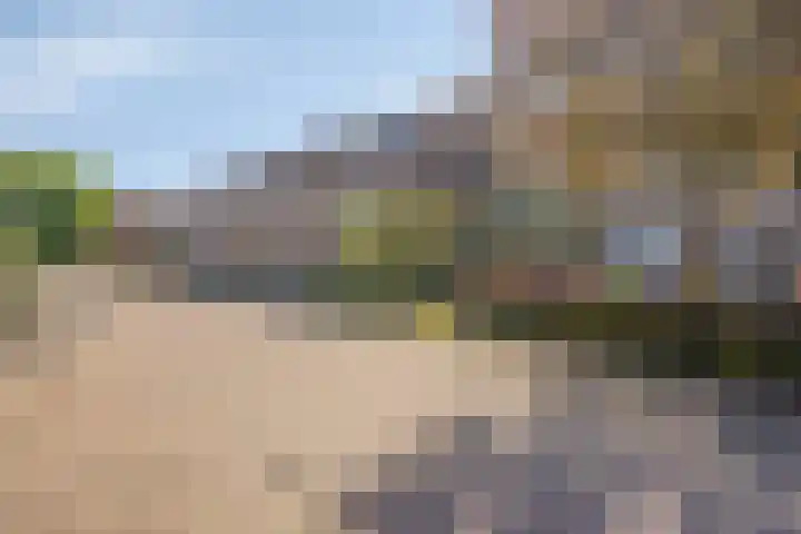 Hoge Graaf 61 Ravenstein thumbnail 37