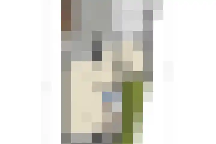 Hoge Graaf 61 Ravenstein thumbnail 38