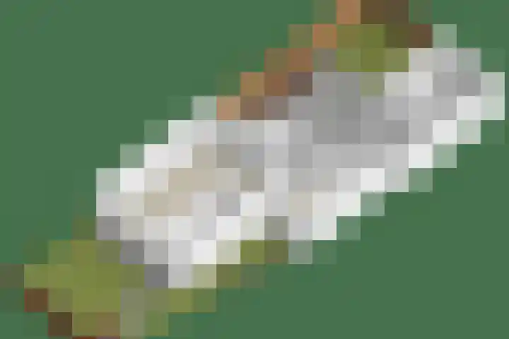 Hoge Graaf 61 Ravenstein thumbnail 39