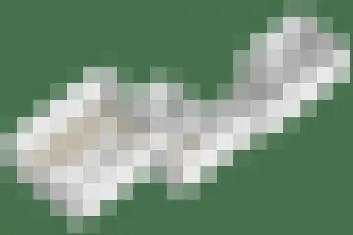 Hoge Graaf 61 Ravenstein thumbnail 41