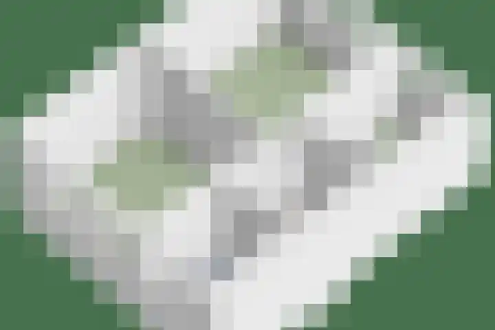 Hoge Graaf 61 Ravenstein thumbnail 43