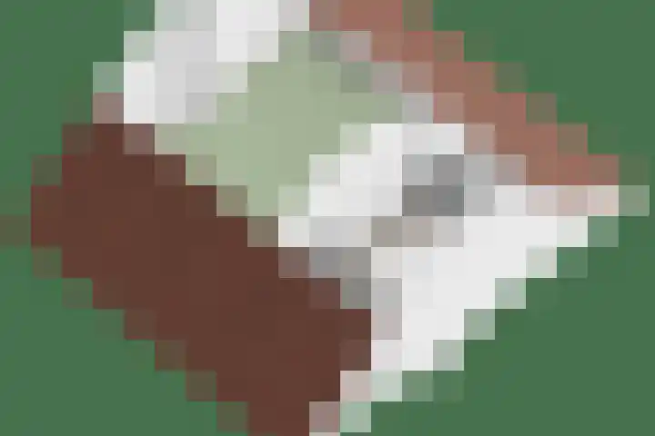Hoge Graaf 61 Ravenstein thumbnail 45