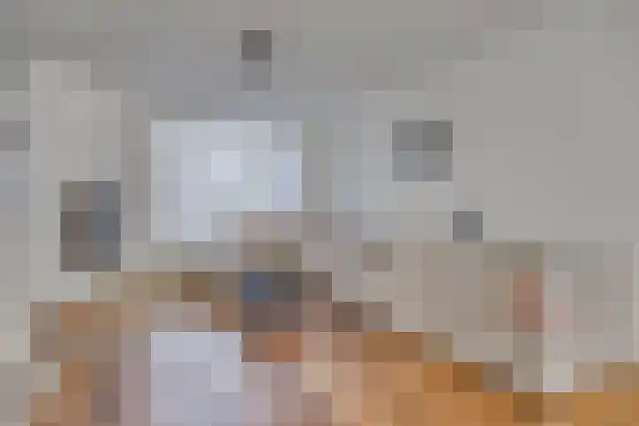 Hoge Graaf 61 Ravenstein thumbnail 6