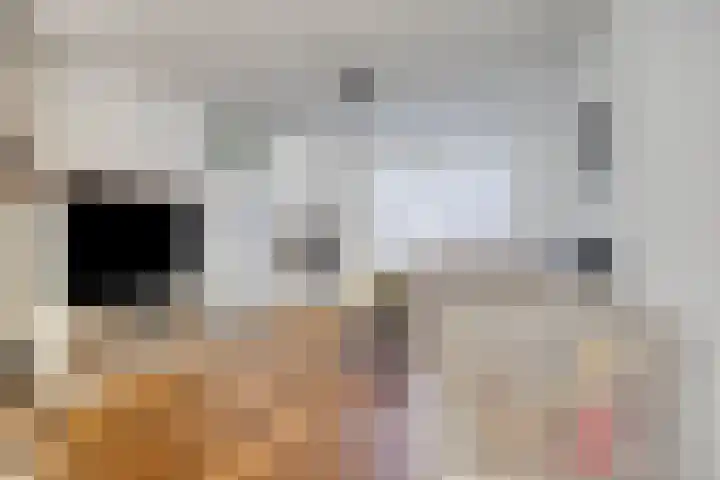 Hoge Graaf 61 Ravenstein thumbnail 7
