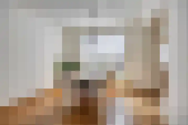 Hoge Graaf 61 Ravenstein thumbnail 8