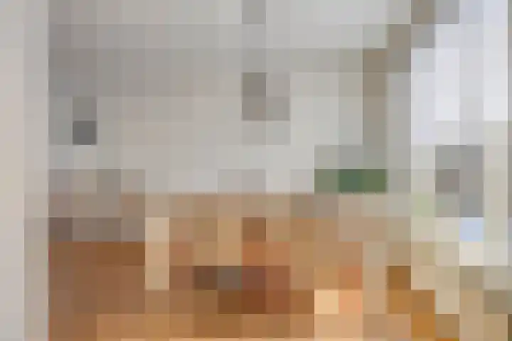 Hoge Graaf 61 Ravenstein thumbnail 9