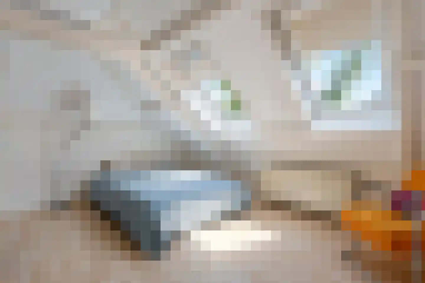 Hoge Haerlaan 14 Oldenzaal thumbnail 25