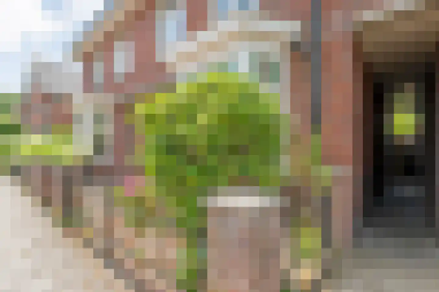 Hoge Haerlaan 14 Oldenzaal thumbnail 28